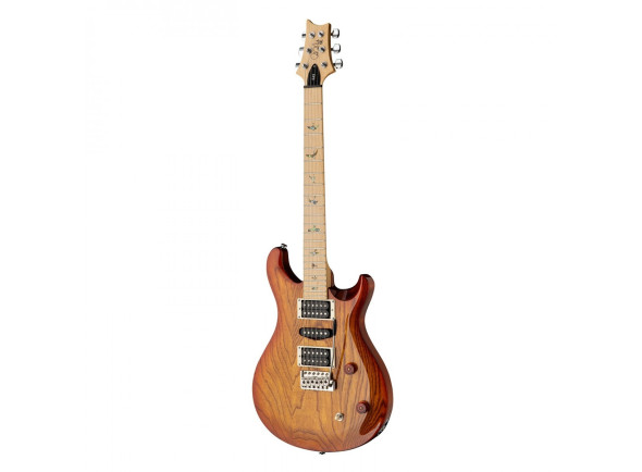 PRS SE Swamp Ash Special VS PRS SE Swamp Ash Special VS